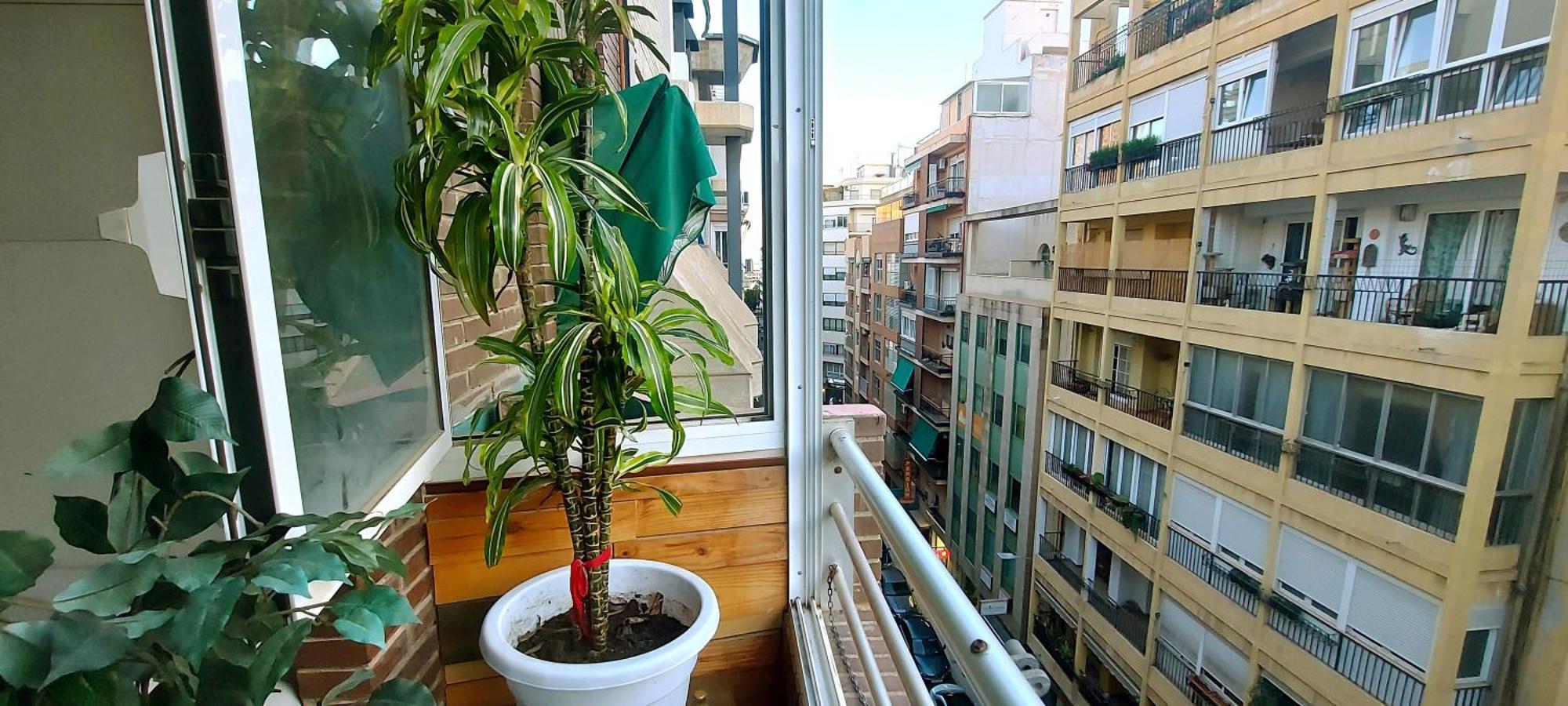 Modern Apartment In Alacant 60M² Wheelchair Accessible Alicante Zewnętrze zdjęcie
