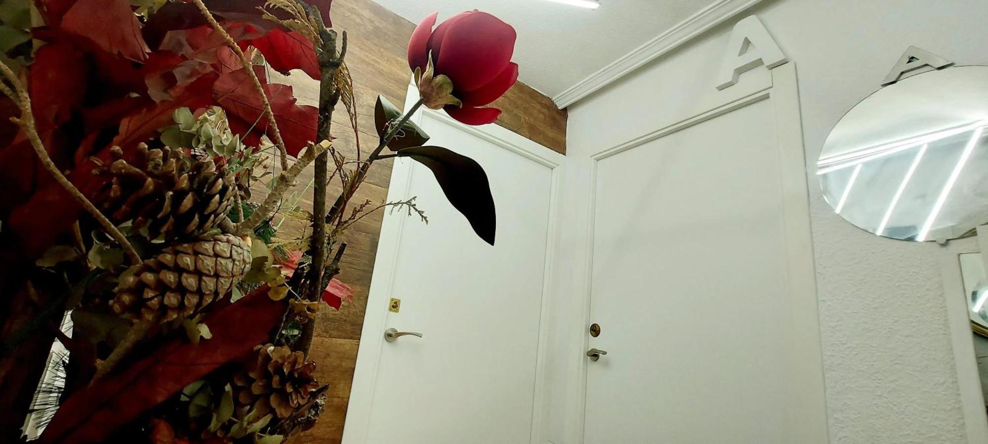 Modern Apartment In Alacant 60M² Wheelchair Accessible Alicante Zewnętrze zdjęcie